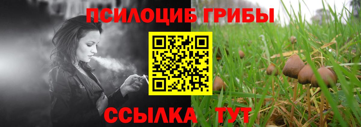 Самара  Псилоцибиновые грибы Psilocybe  Вход с VPN 